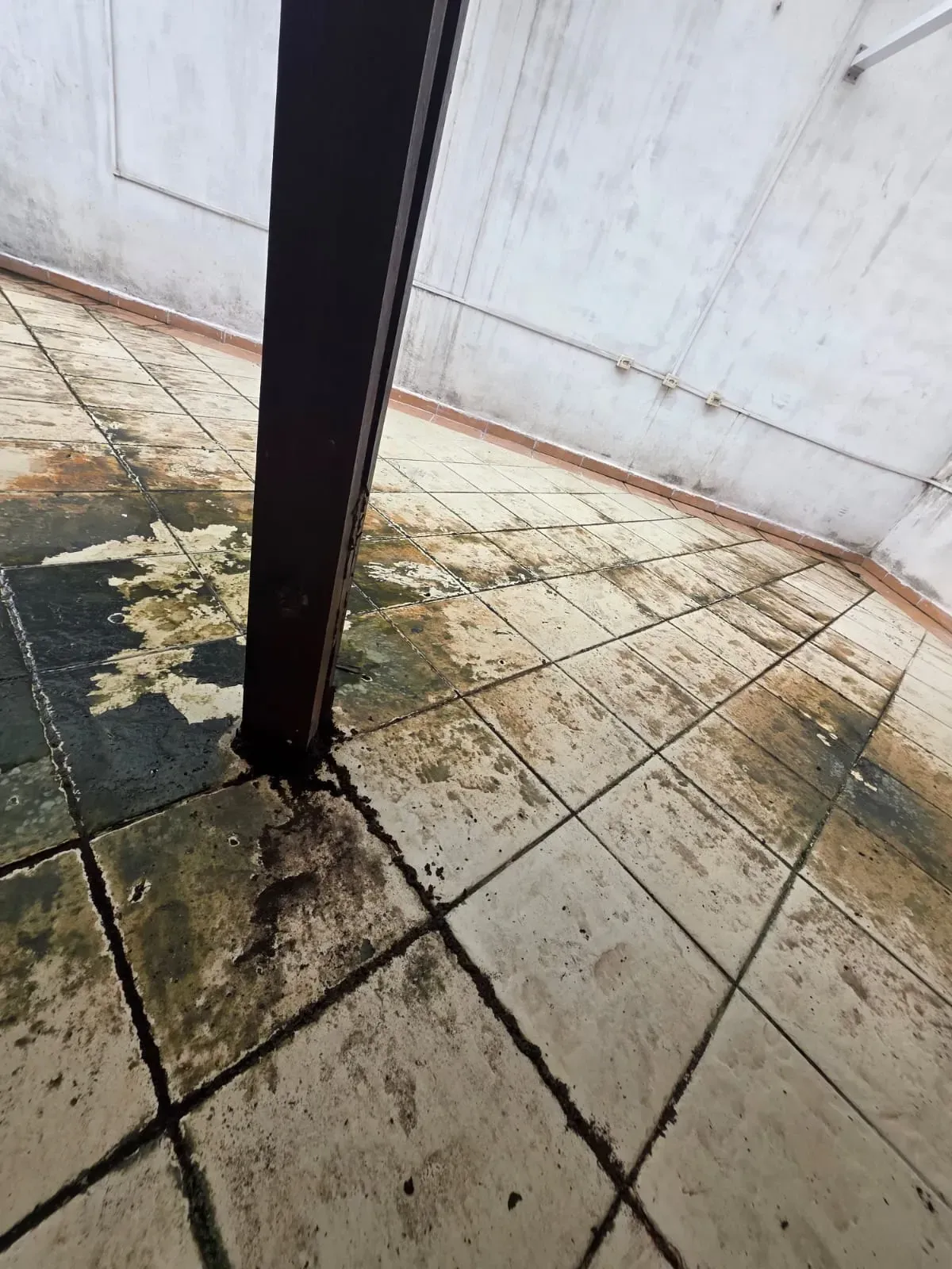 Imagem Casa de Condomínio com 2 Quartos à Venda, 103 m² em Vila Cascatinha - São Vicente