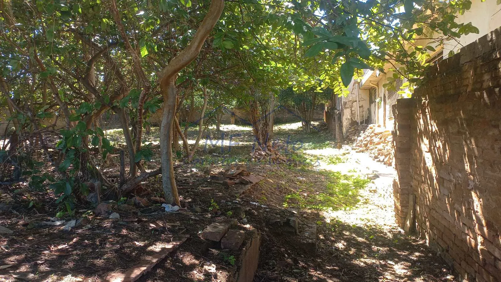 Imagem Terreno Padrão