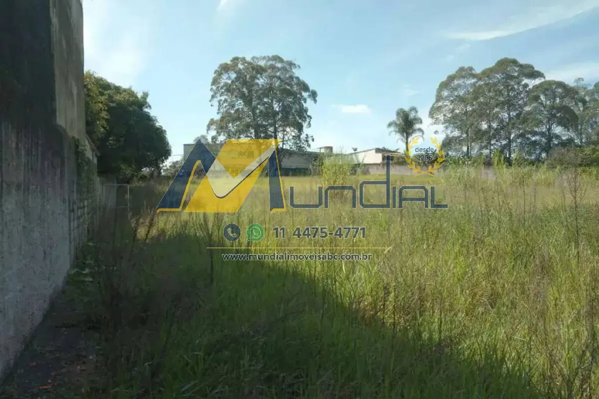 Imagem "Você está prestes a perder o metro quadrado mais estratégico do ABC Paulista?"