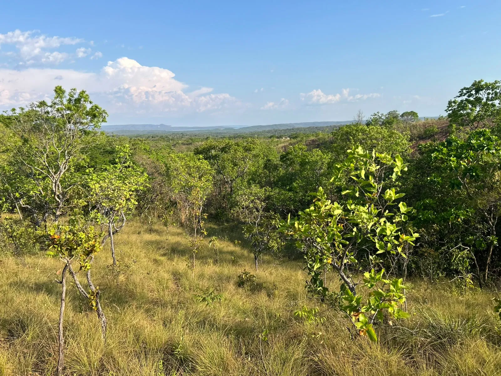 Imagem Terreno na estrada do manso