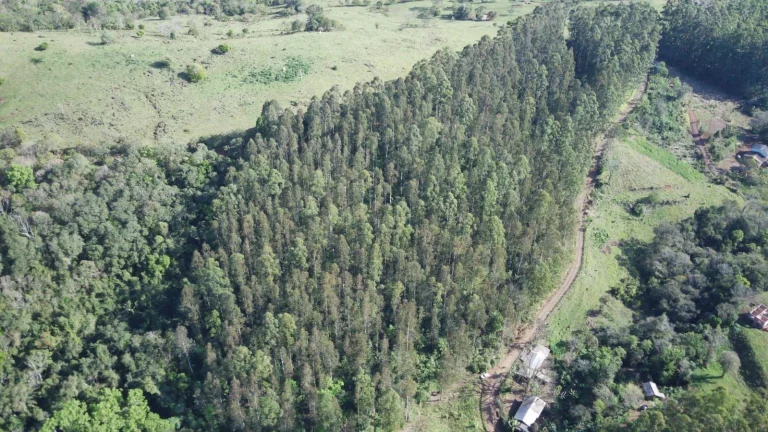 Imagem Terreno para Venda em Arabuta, Interior
