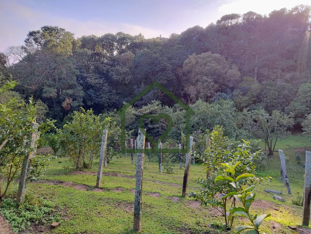 Imagem Terreno urbano com 6.798 m² ? oportunidade única na Zona Sul de Porto Alegre 

Apresentamos um amp...