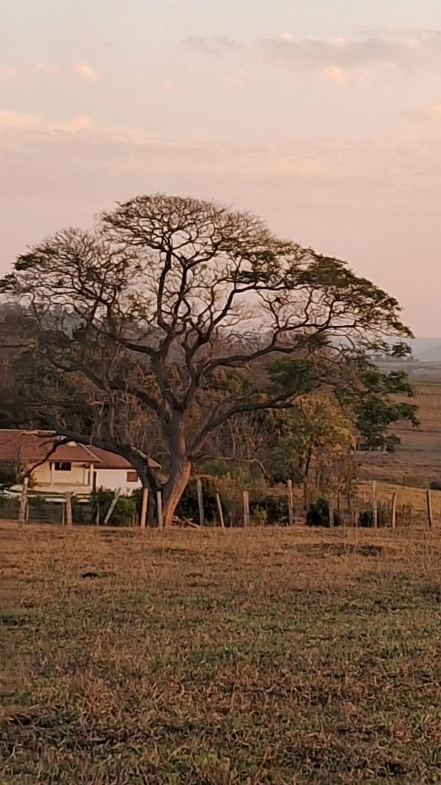 Foto do imóvel Chácara Dona Terra em Porangaba/SP ? Imóvel com Área Gourmet, Piscina e Pasto em Chacara Dona Terra, PORANGABA - SP