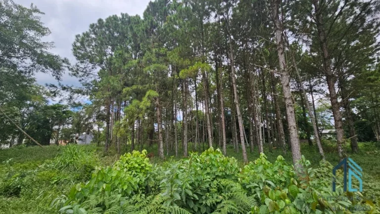 Imagem Terreno de Esquina a venda - Zona Industrial 7872 m2 em Blumenau SC