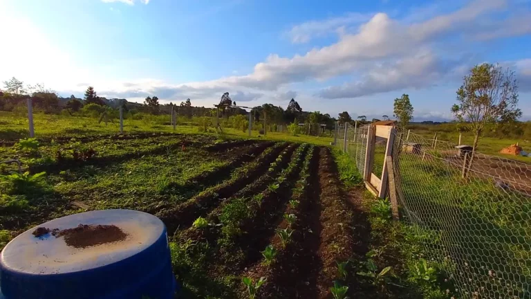 Imagem Chácara para Venda em Tijucas do Sul, Ambrósio