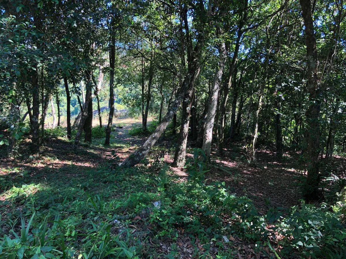 Imagem Chácara para venda , localizado em São João do Deserto, Lomba Grande em Novo Hamburgo/RS.