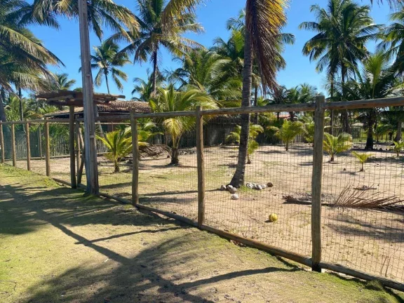Imagem Frente Mar Saquaíra