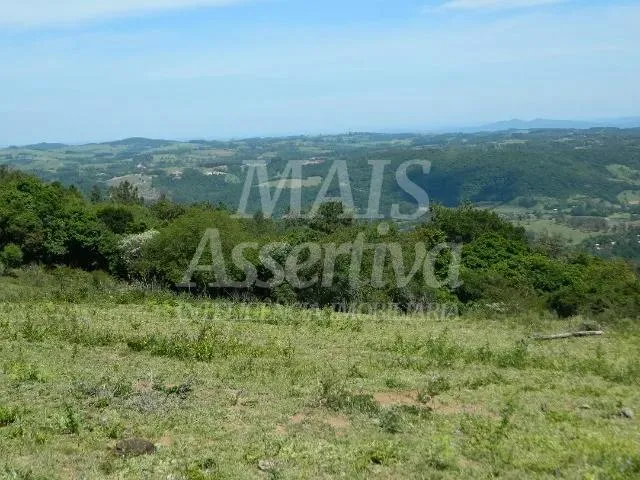 Imagem Excelente sítio para venda localizado no bairro Morungava em Gravataí/RS