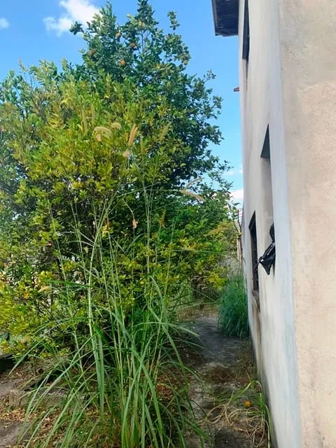 Imagem Chácara à venda 1 Quarto, 6 Vagas, 1164M², Mandú, Pindamonhangaba - SP