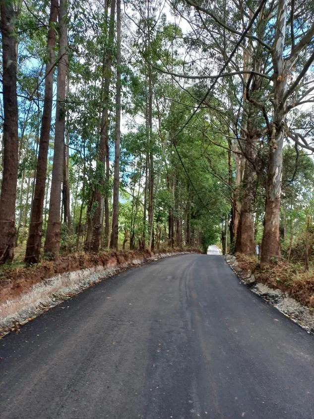 Imagem Venda de Chácara em Itatiaiuçu/MG com 2.000 m² de area