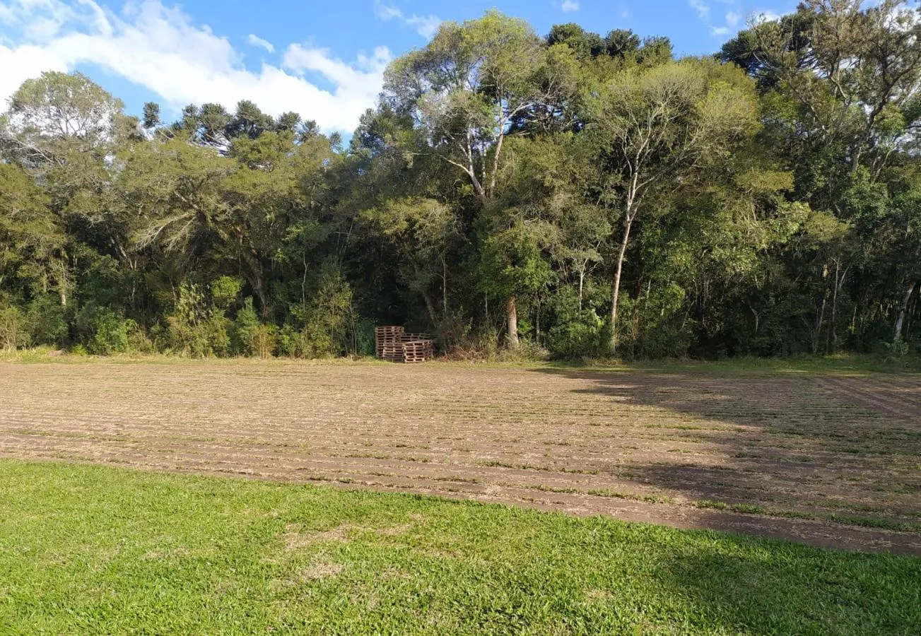 Imagem Terreno para Venda em São José dos Pinhais, Campo Largo da Roseira