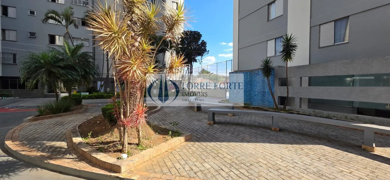 Imagem Lindo Apartamento com 2 dormitórios em Vila Ivone