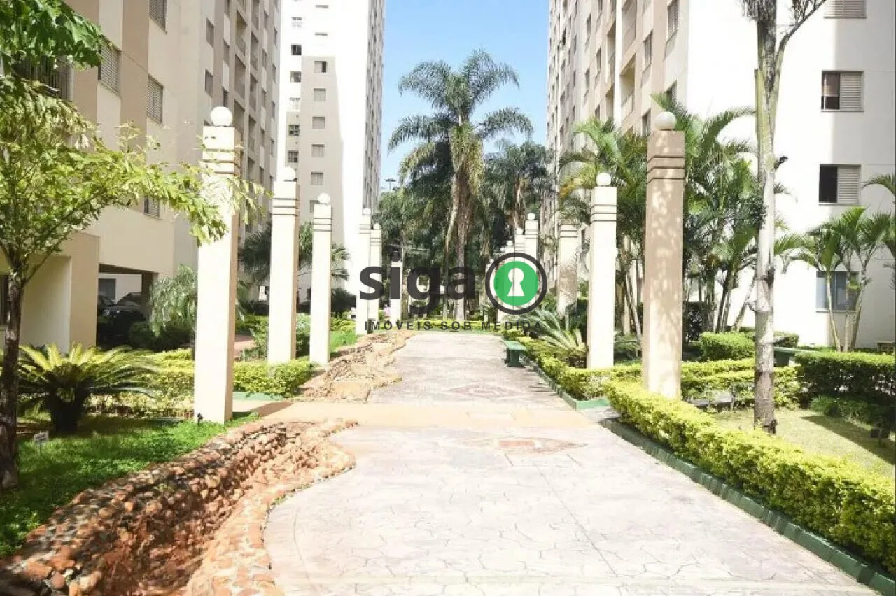 Imagem Apartamento a venda 70 m² 3 Dormitórios, 1 Suíte, 1 vaga Jardim Vazani -SP