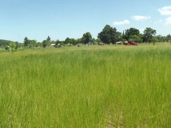 Imagem Terreno residencial em loteamento, Morro Grande / Viamão