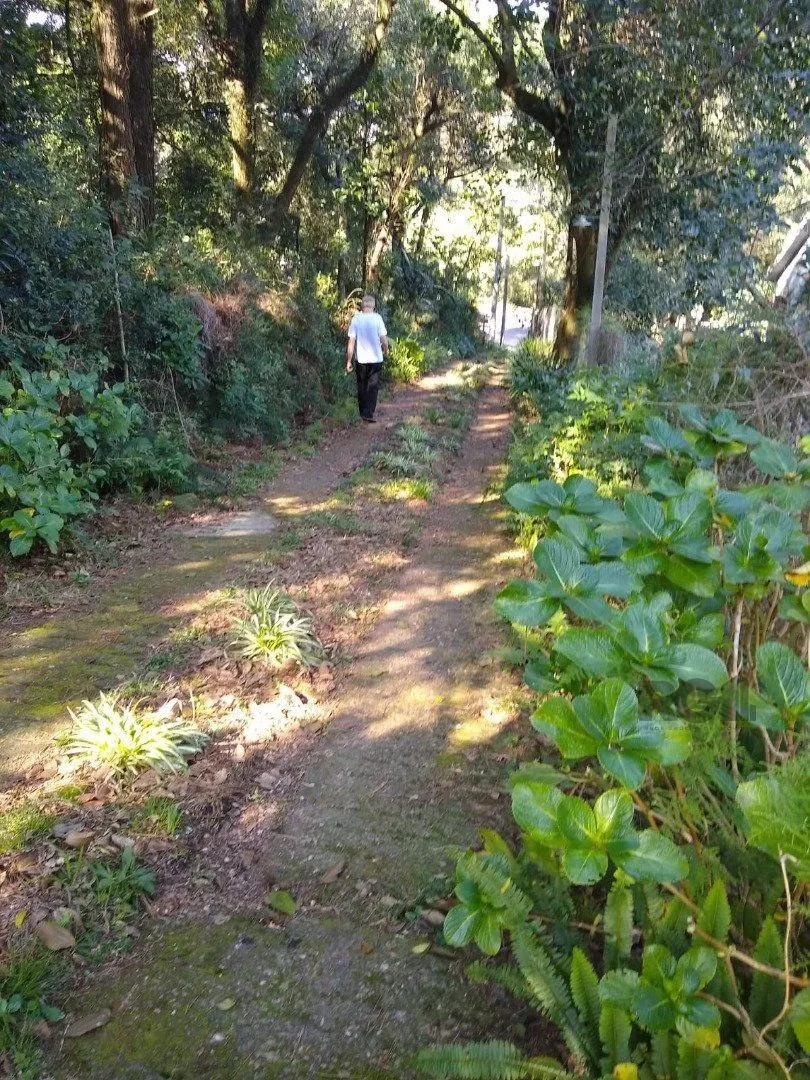 Imagem Terreno em Cascata