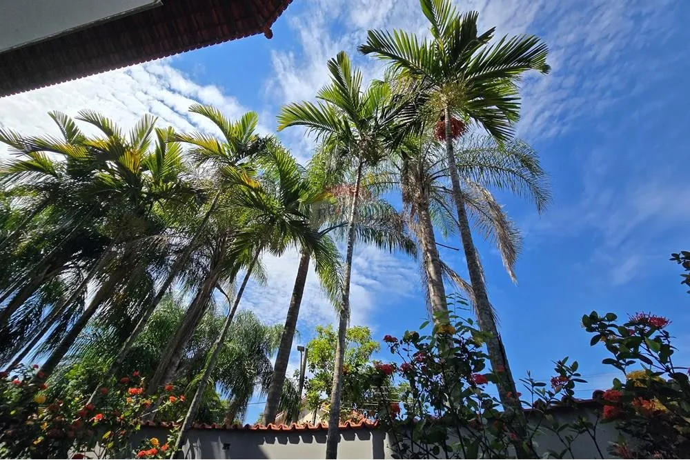 Imagem Casa com 4 quartos Para aluguel em Campo Grande