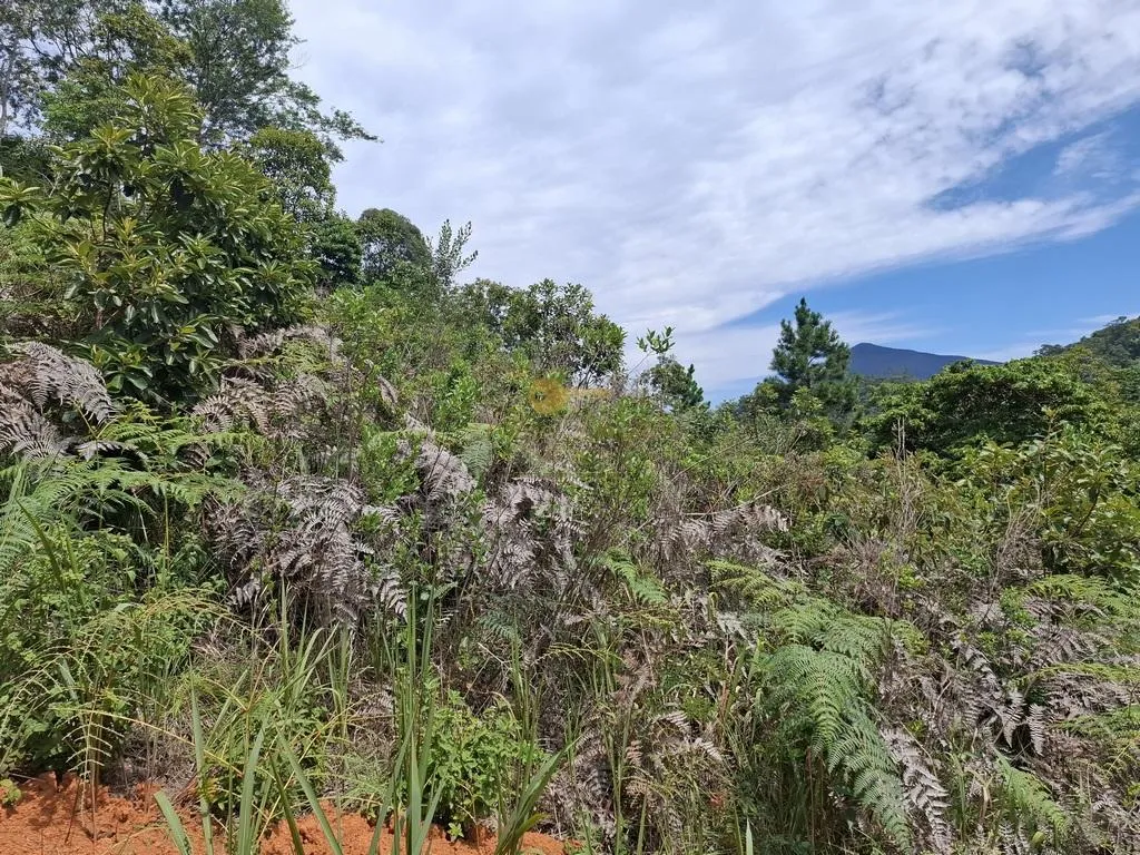 Imagem Terreno em Condomínio para Venda em Teresópolis / RJ no bairro Albuquerque