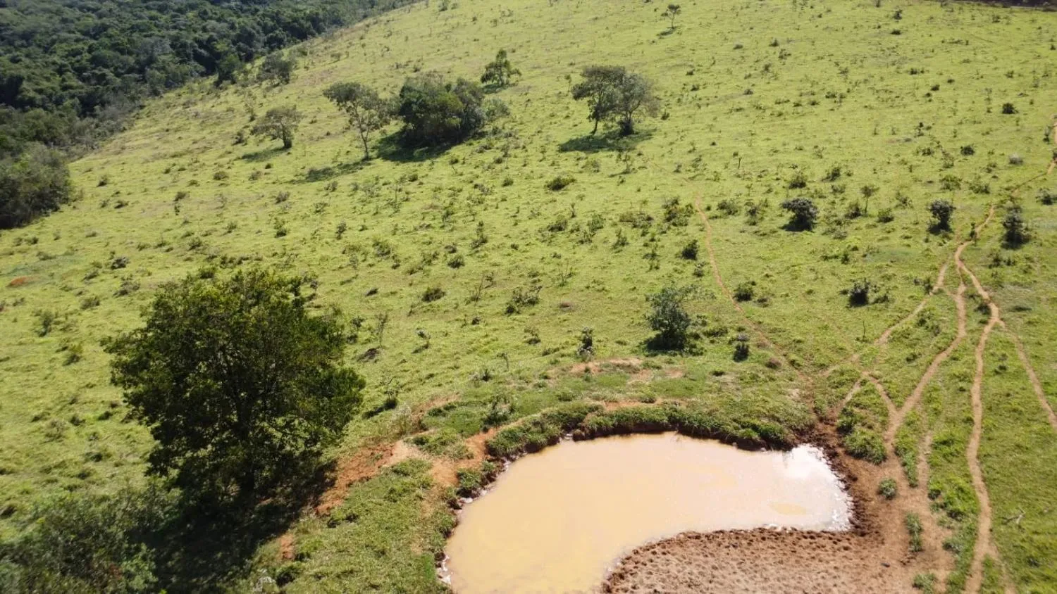 Imagem Excelente terreno rural com área de 10 hectares a venda em PASSA TEMPO/MG