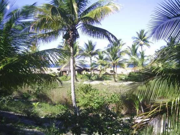 Imagem PARAÍSO PIRACANGA