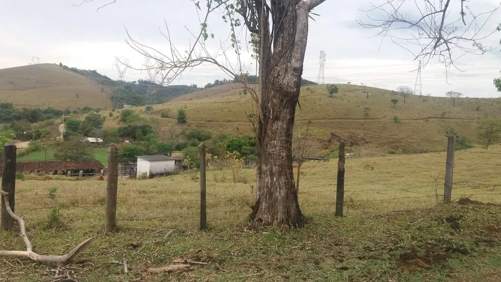 Imagem Chácara à venda 3 Quartos, 250000M², Granjas Rurais Reunidas São Judas Tadeu, Taubaté - SP