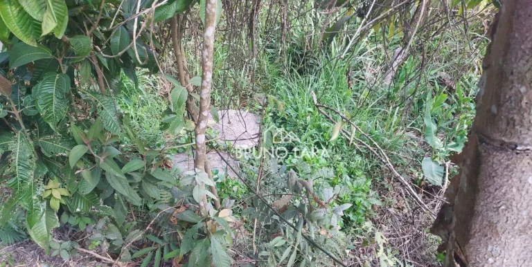 Imagem Sítio á venda em Betim bairro Charneca