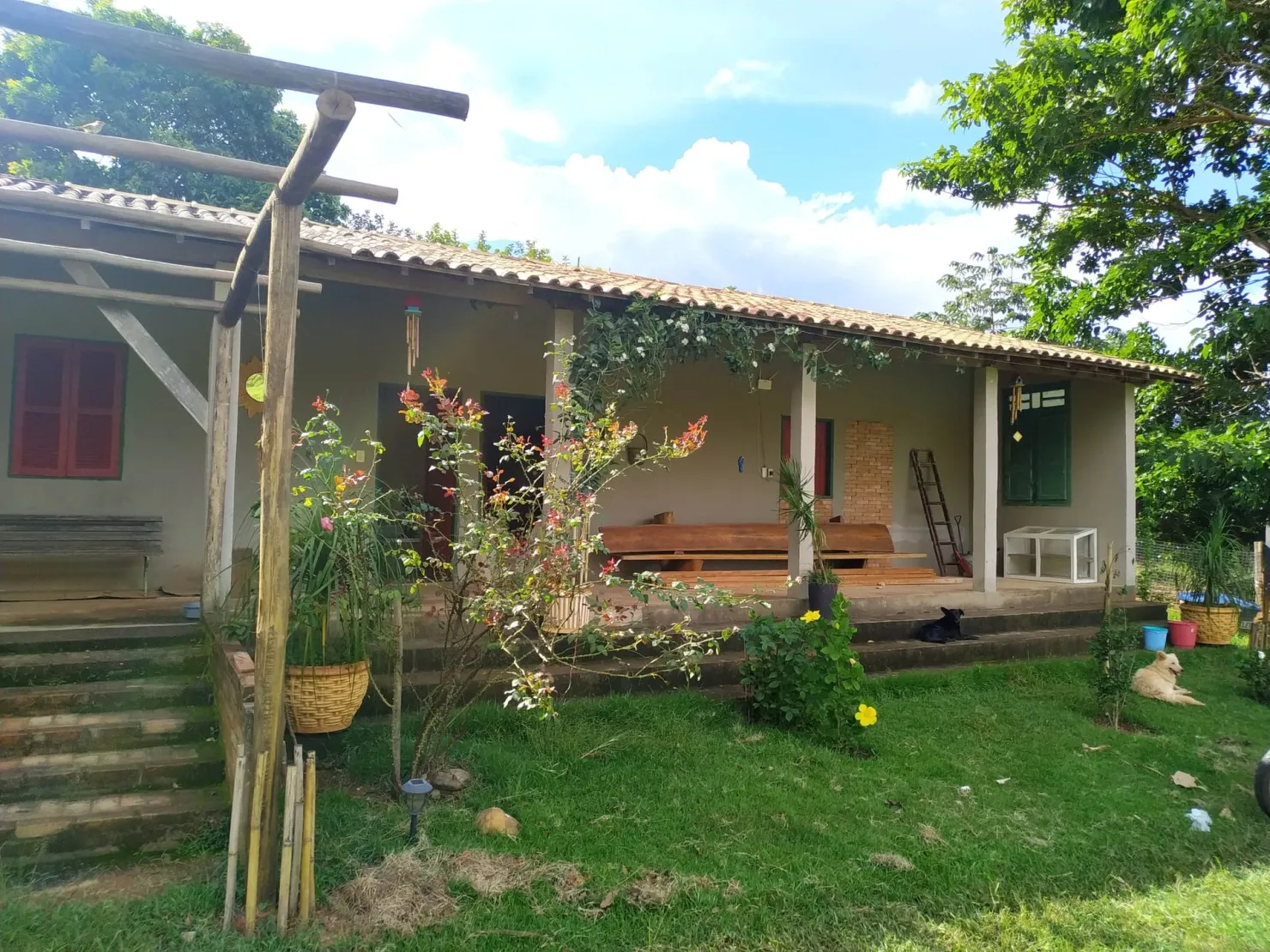 Imagem Chácara à venda 4 Quartos, 1 Suite, 37000M², Zona Rural, Silveiras - SP