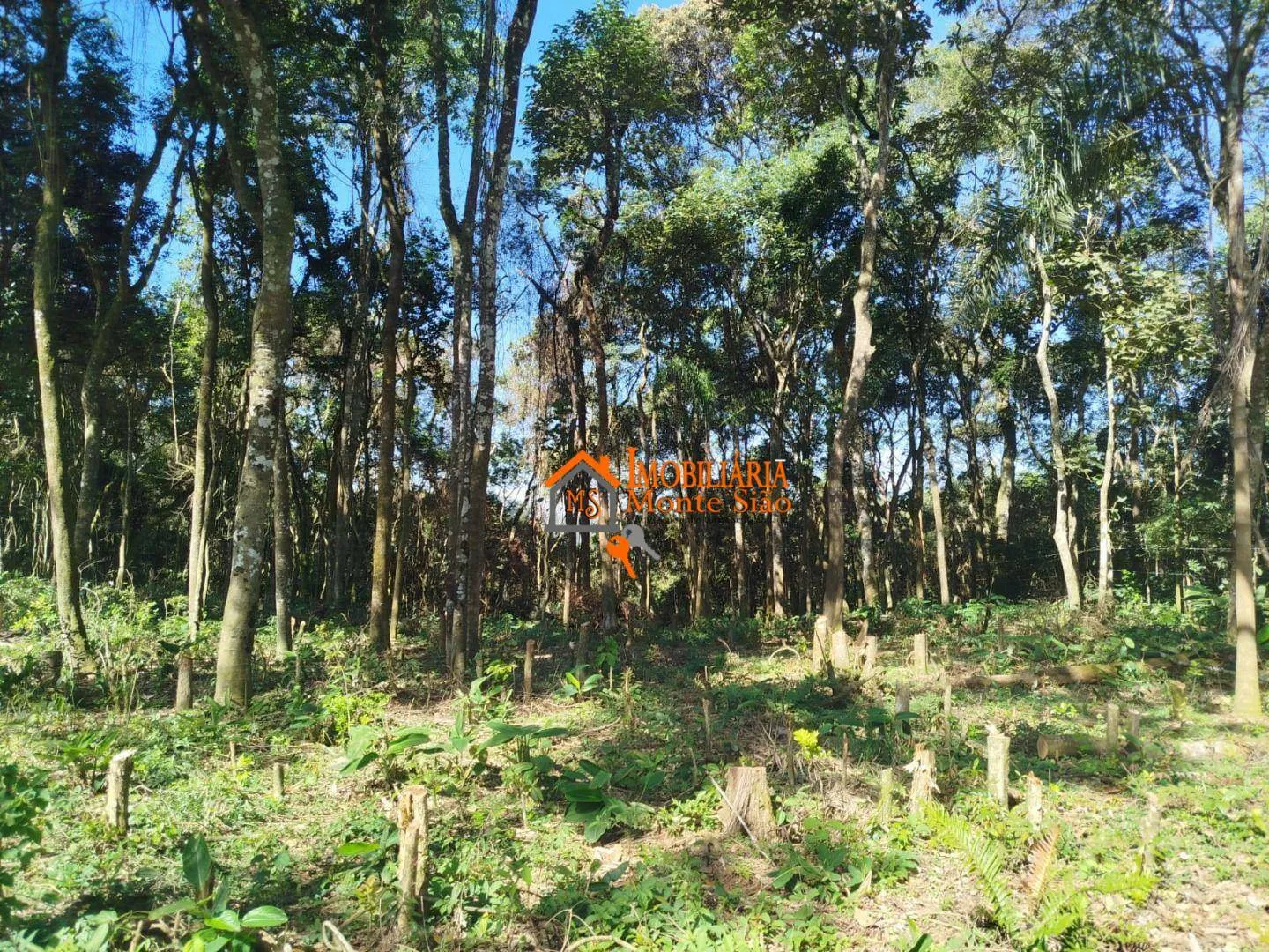 Imagem Terreno à venda, 3.068m² por R$ 212.000 - Parque Santos Dumont - Guarulhos/SP