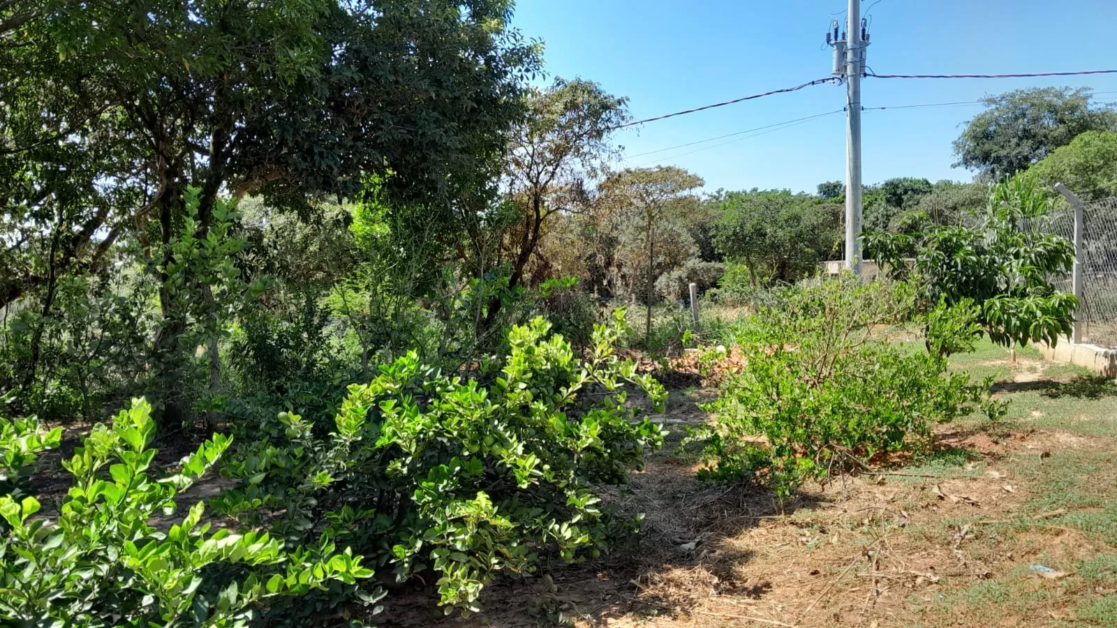 Imagem Lindo terreno de 950m² no Iporanga.