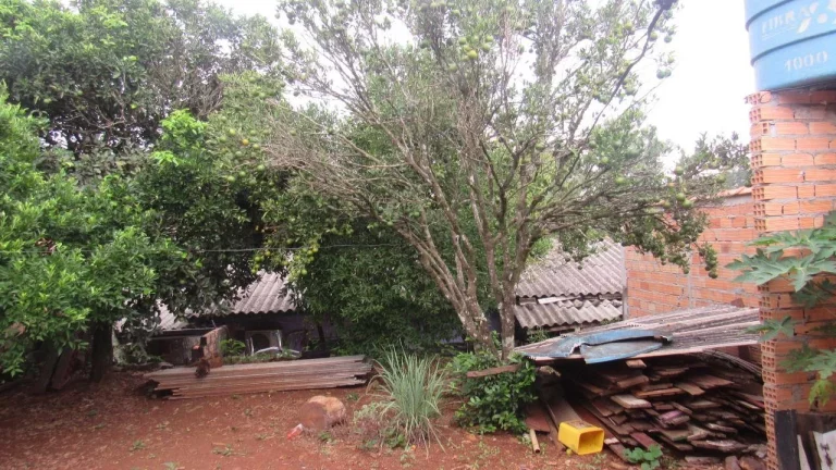 Imagem Casa para Venda em Concórdia, Santa Rita, 1 dormitório, 1 banheiro