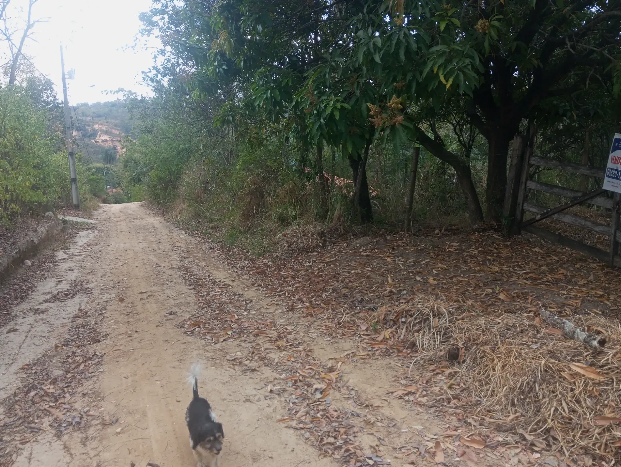 Imagem Chácara com 3 Quartos à Venda, 5.000 m² em Ravena - Sabará