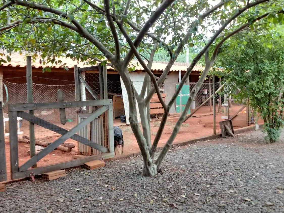 Imagem Vendo uma excelente chácara em Paraopeba/MG, com 2.010 m² de terreno