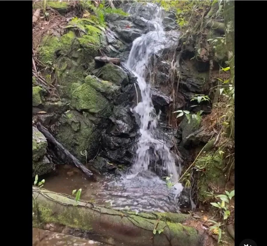 Imagem Fazenda em Joanópolis - R$ 2.000.000,00 - 40 Alqueires e 3 Fontes de Água!