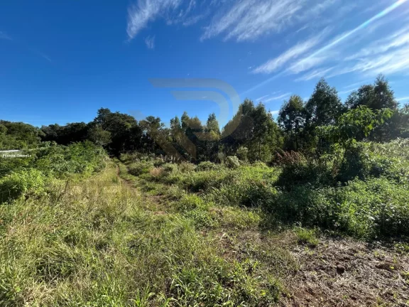 Imagem Área Agrícola para Venda em Irani, Br 153