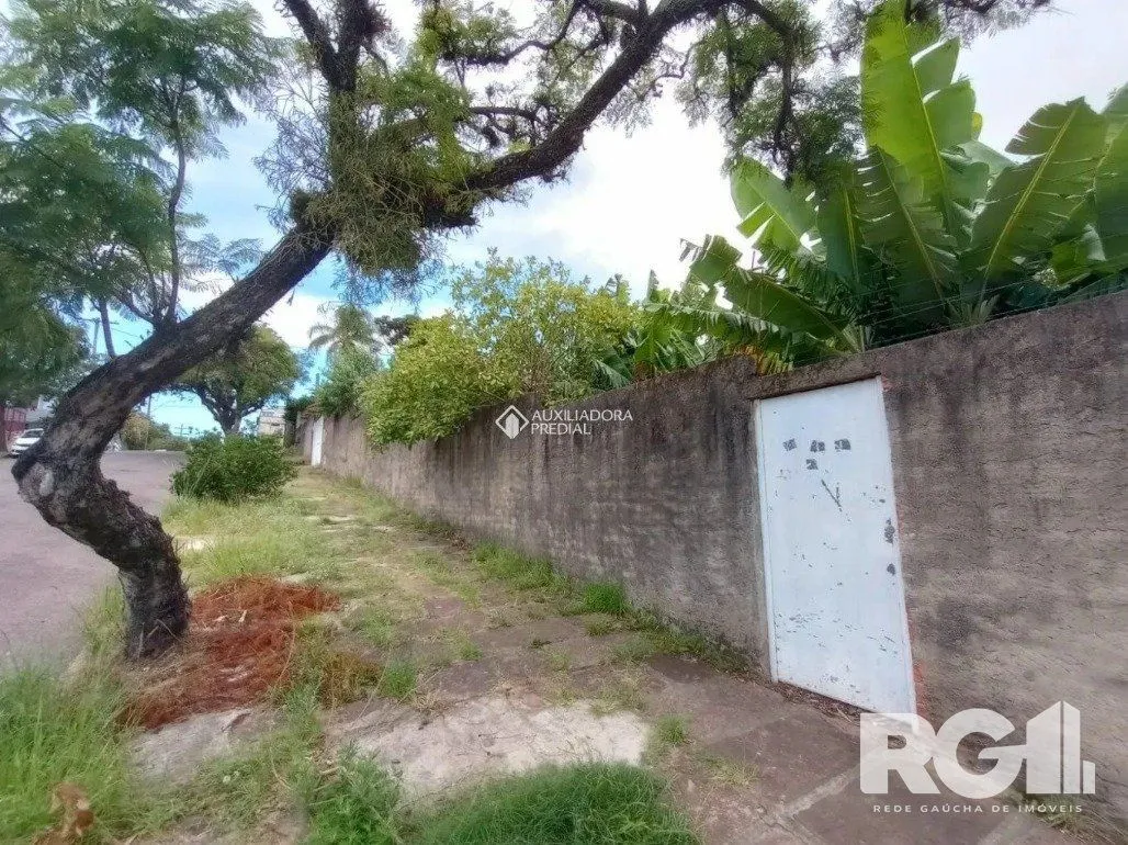 Imagem Terreno em Vila Ipiranga
