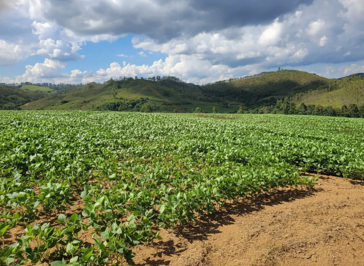 Imagem Fazenda 142,78 ha à venda em Área Rural, Caldas