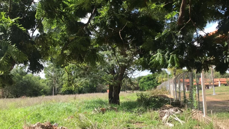 Imagem Terreno para chácara dentro de condomínio no interior de São Paulo