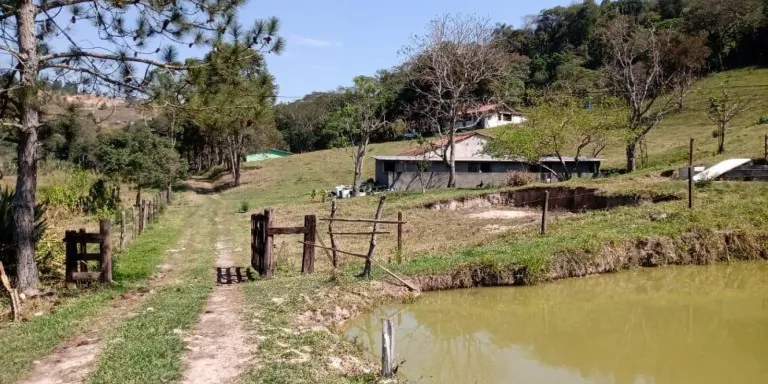 Imagem Chácara com 13 Quartos à Venda, 90.000 m² em Centro - Santa Isabel
