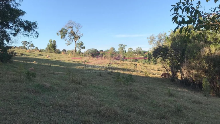 Imagem Área de Terreno com 24.600m² +18.800m² área de mata = TOTALIZANDO 43.470m²