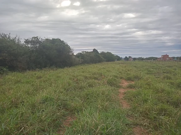Imagem EXCELENTE LOGÍSTICA!!! Sitio de 2 Hectares com Casa, Boa Vista, Viamão