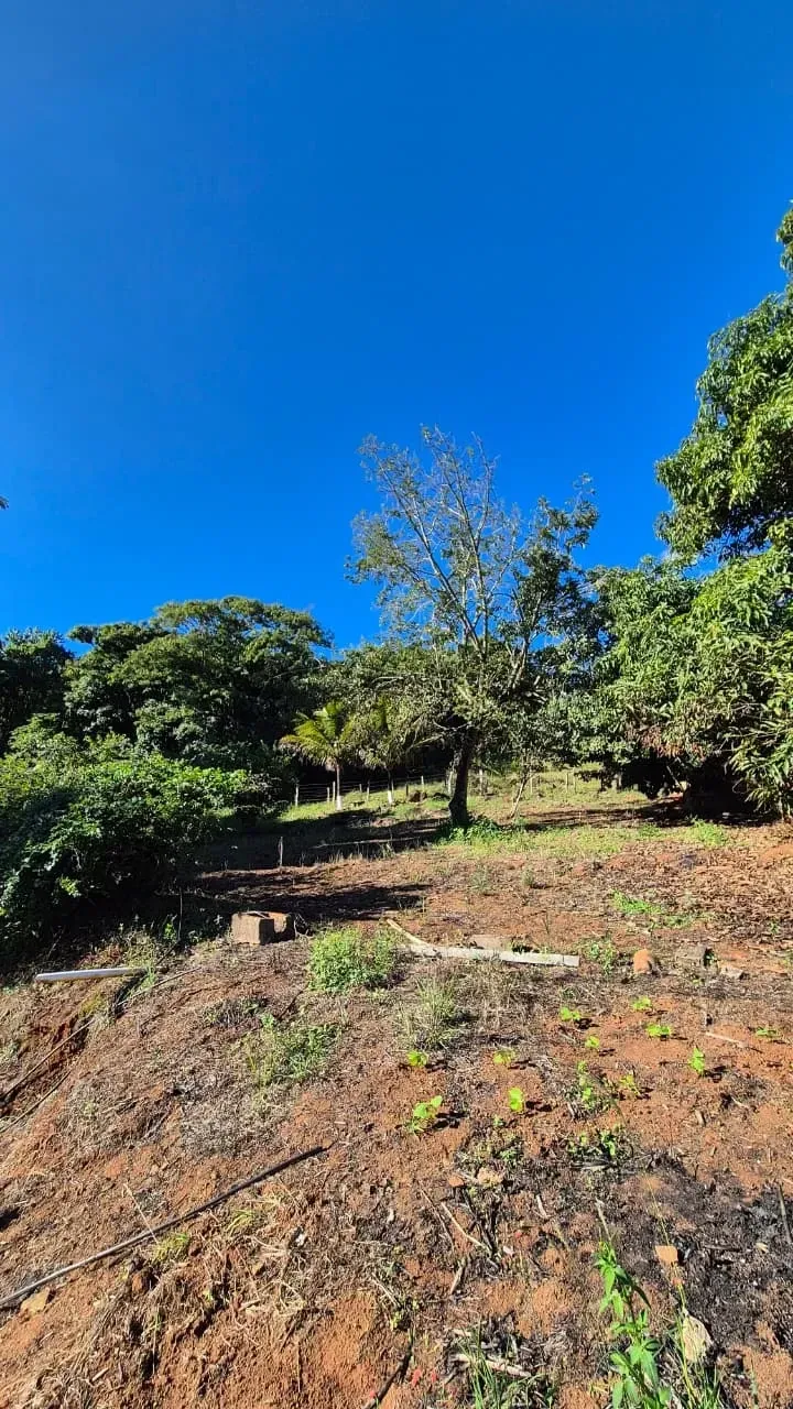 Imagem Sítio à Venda, 4 hectare em Monte Santo de Minas - Monte Santo de Minas