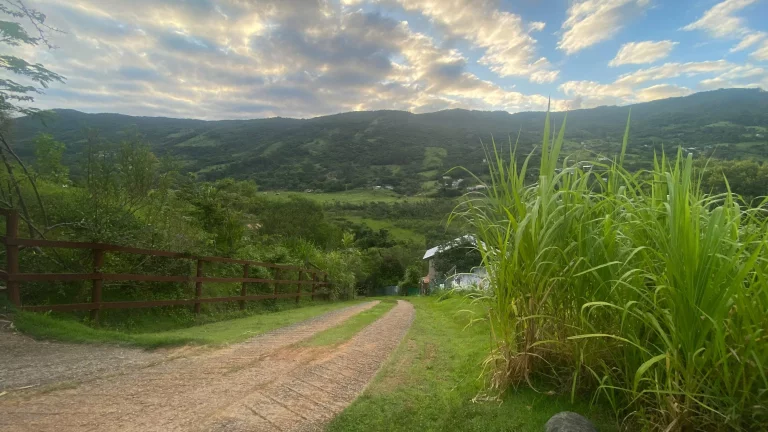 Imagem Oportunidade única: Terreno à venda em Garopaba-SC, Bairro Macacu, 1.000m² de área!