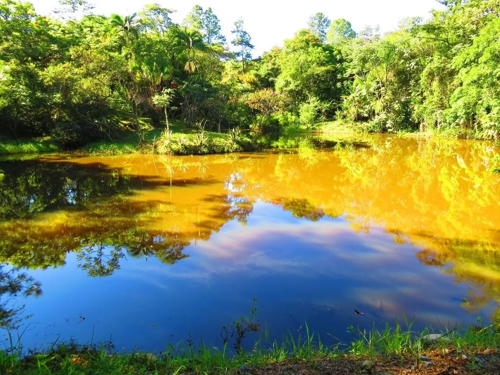 Imagem Chácara à venda 145200M², Paiol, Guaratinguetá - SP