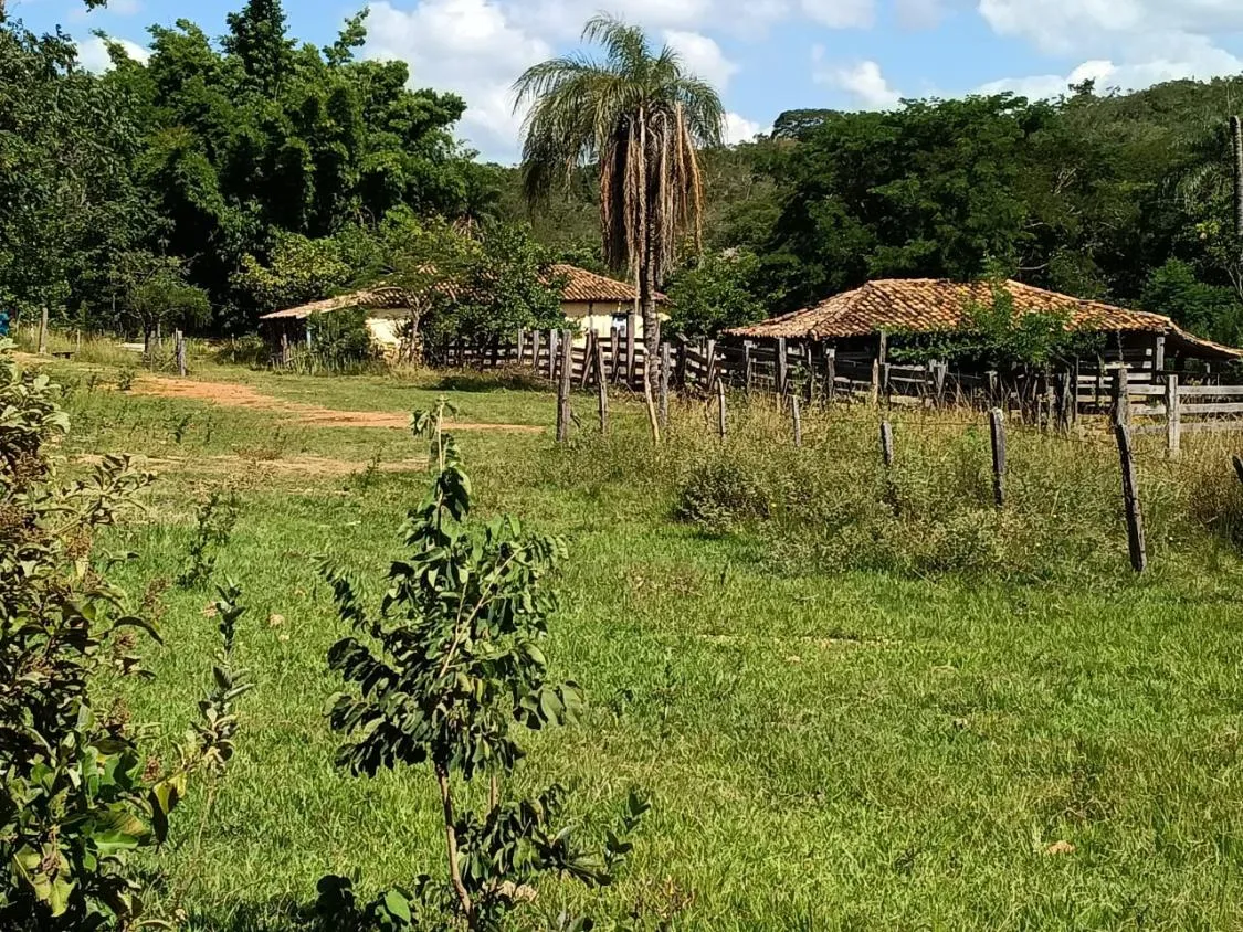 Imagem FAZENDA À VENDA EM SANTANA DO PIRAPAMA ? MG , com 338 hectares de terra