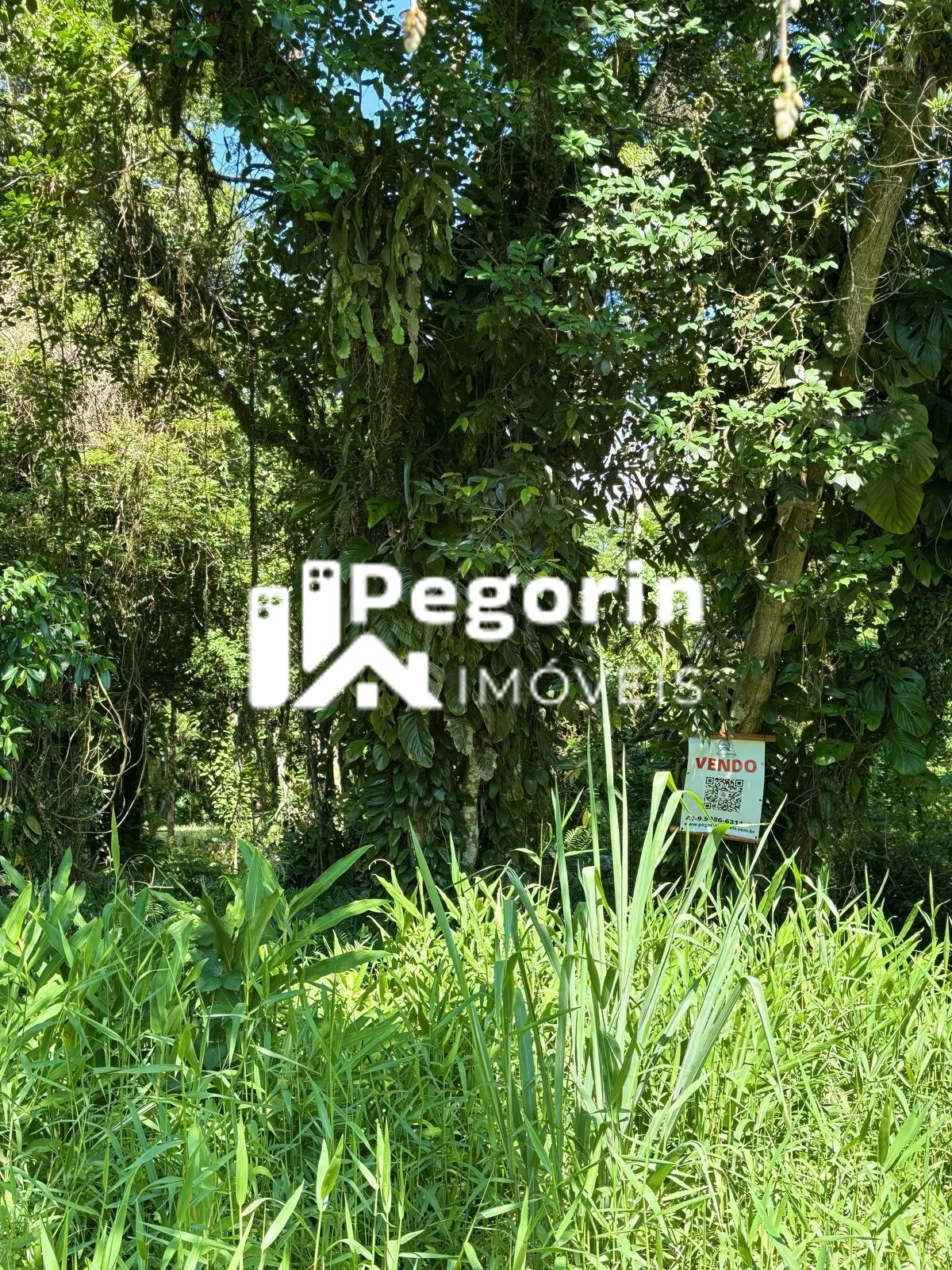 Imagem Terreno em Balneário Brandalize, Itapoá/SC
