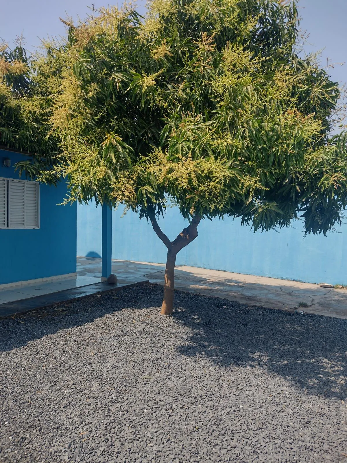Imagem Casa 2 Quartos Bairro Nova Canaã 3Etapa