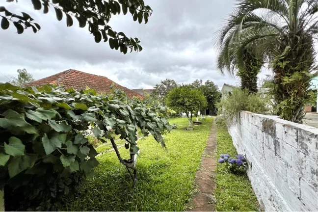 Imagem Terreno/Lote Residencial para venda no bairro Estância Velha em Canoas