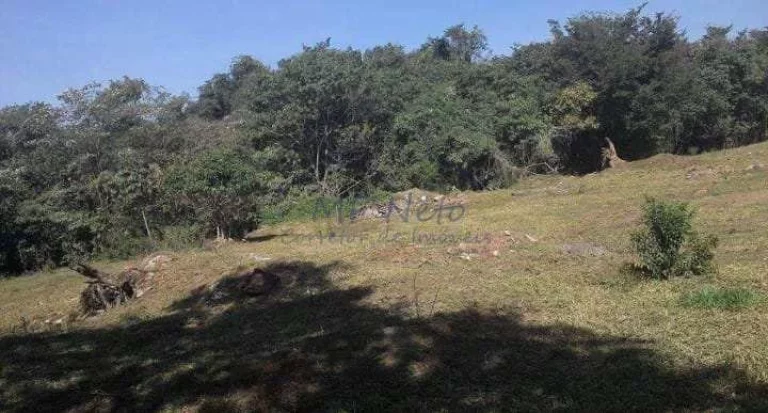 Imagem Terreno Padrão