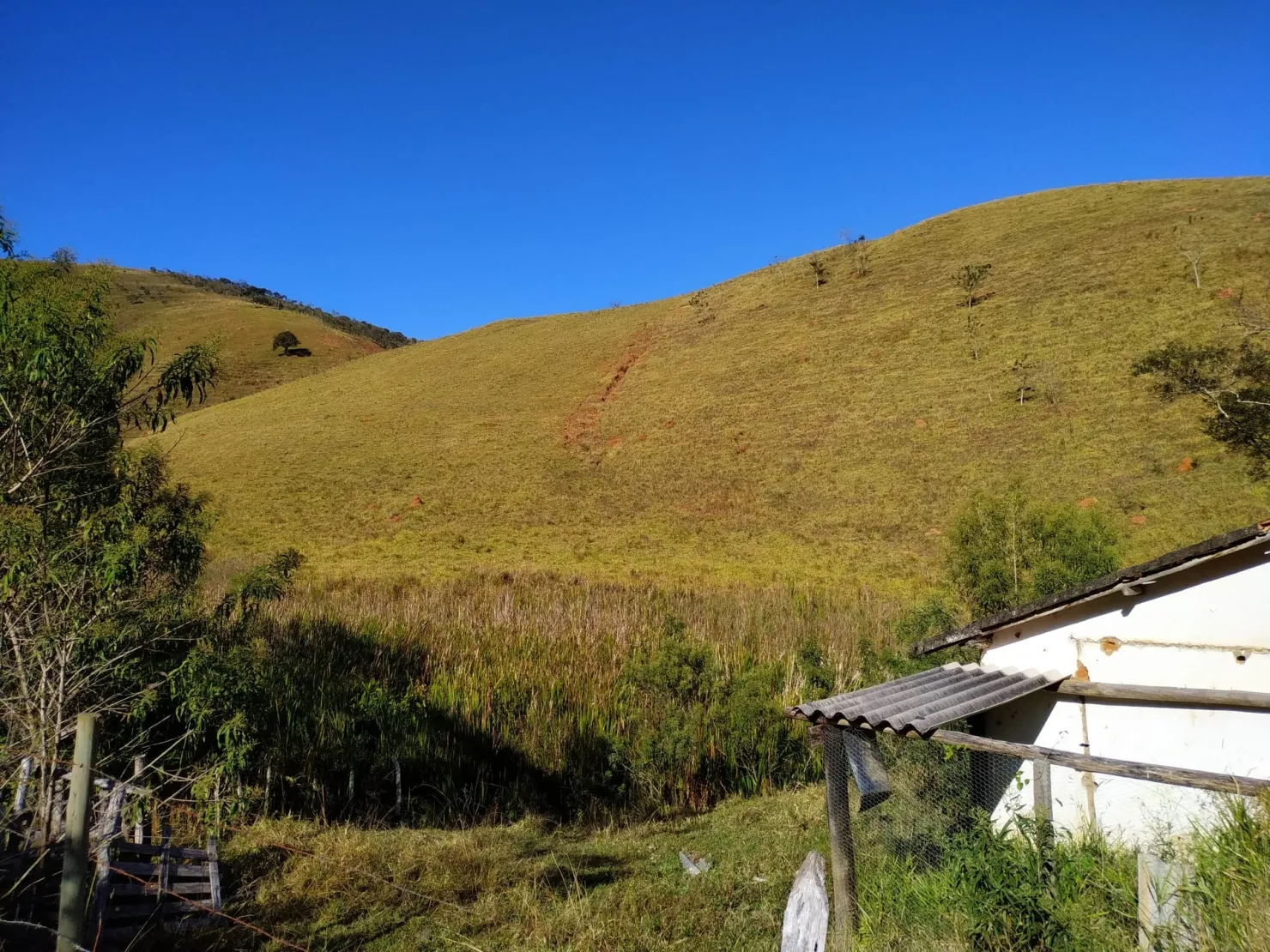 Imagem Chácara à venda 3 Quartos, 36000M², Zona Rural, Cunha - SP