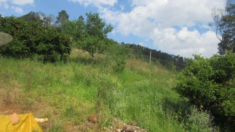 Imagem Área Agrícola para Venda em Lindóia do Sul, Interior