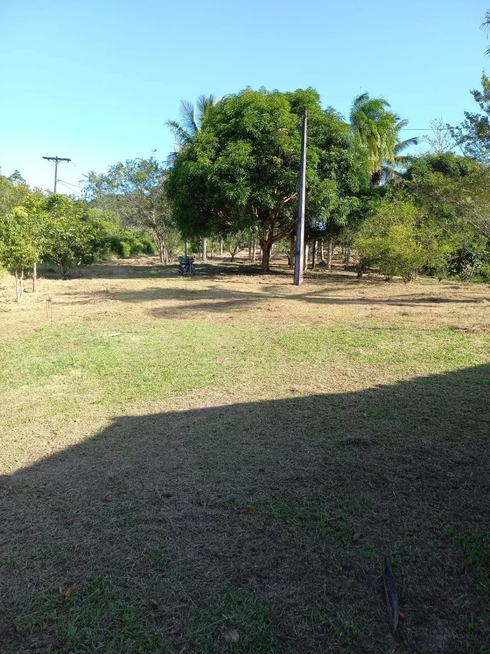 Imagem Fazenda à Venda, 18 HA em Jaguaripe - Jaguaripe